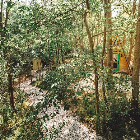 Blue Brambler Glamping A-Frame Διαμέρισμα Rockbridge Εξωτερικό φωτογραφία