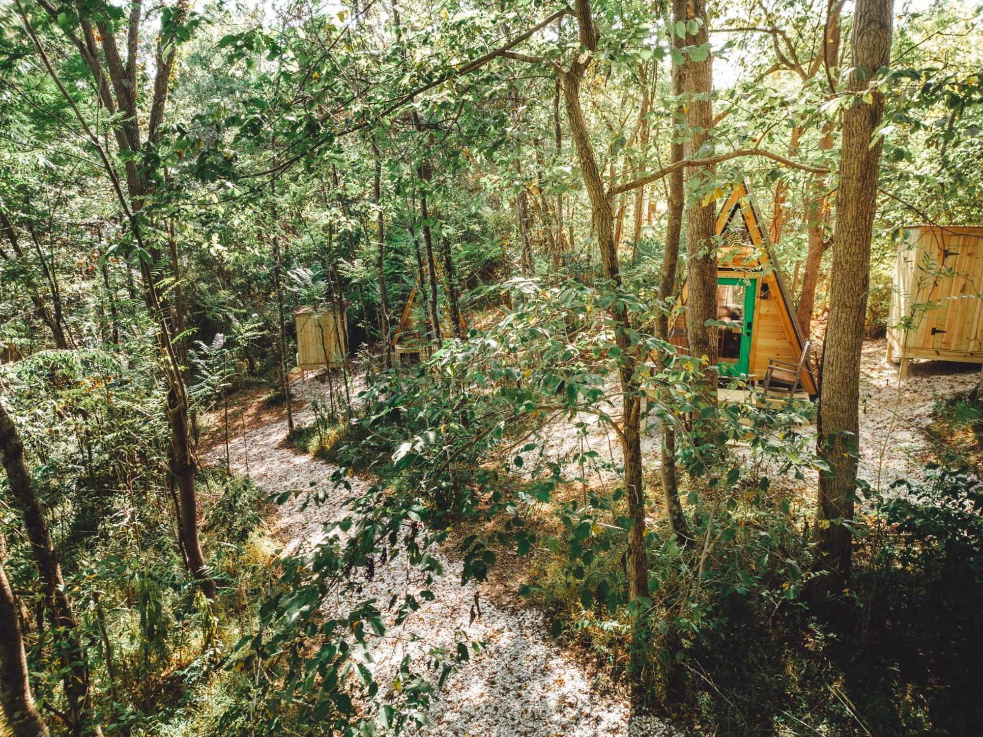 Blue Brambler Glamping A-Frame Διαμέρισμα Rockbridge Εξωτερικό φωτογραφία